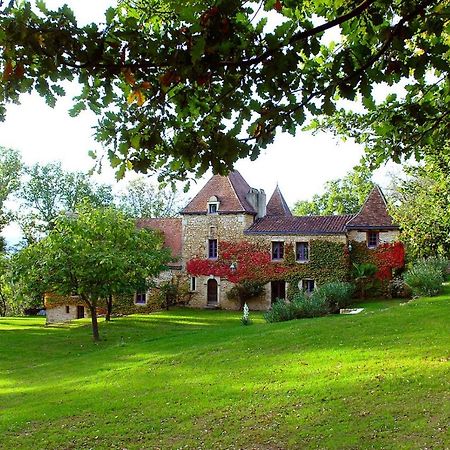 Le Manoir Du Rocher Domme Exterior photo