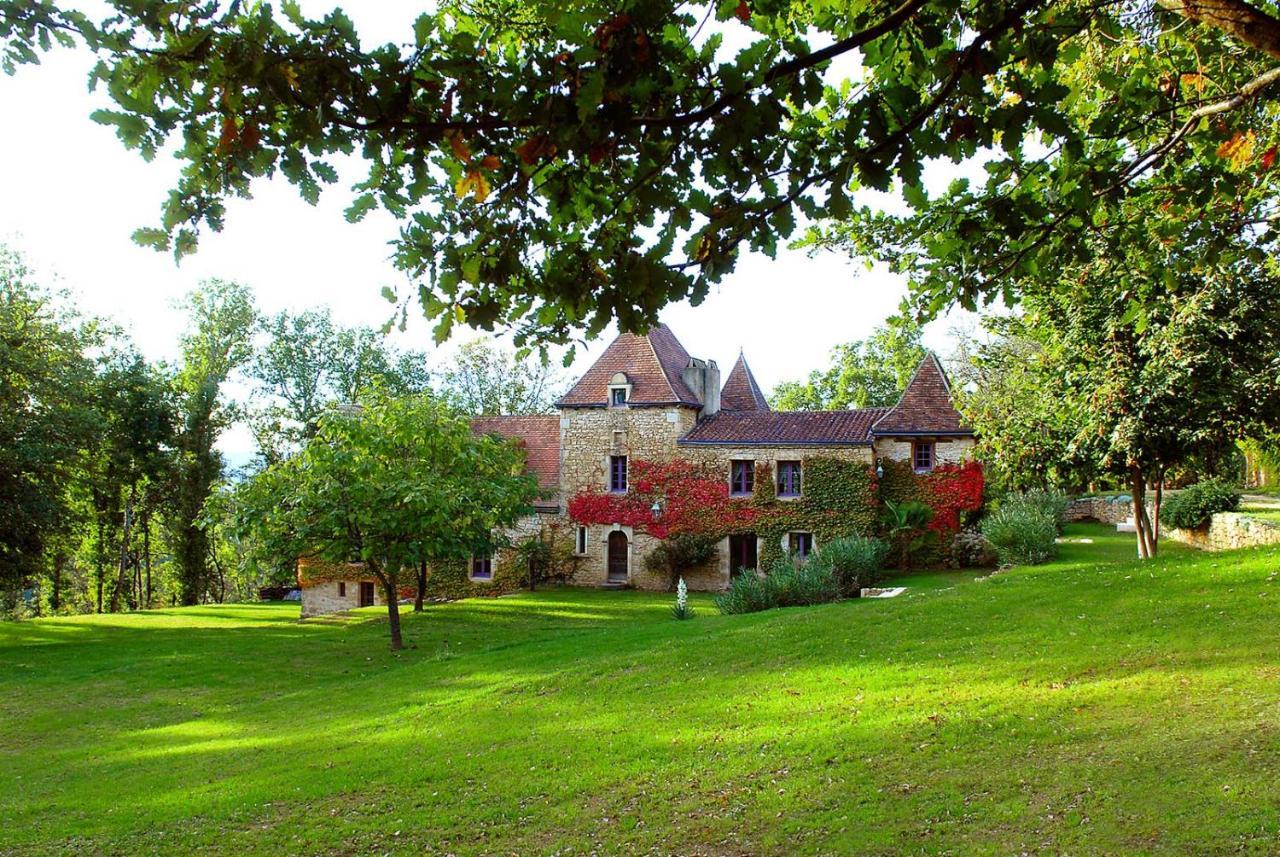 Le Manoir Du Rocher Domme Exterior photo