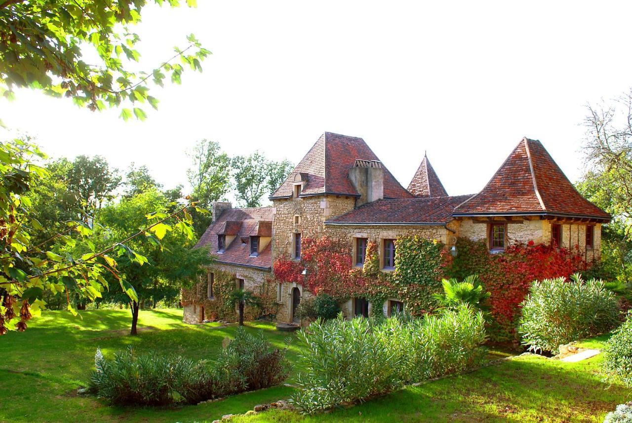 Le Manoir Du Rocher Domme Exterior photo